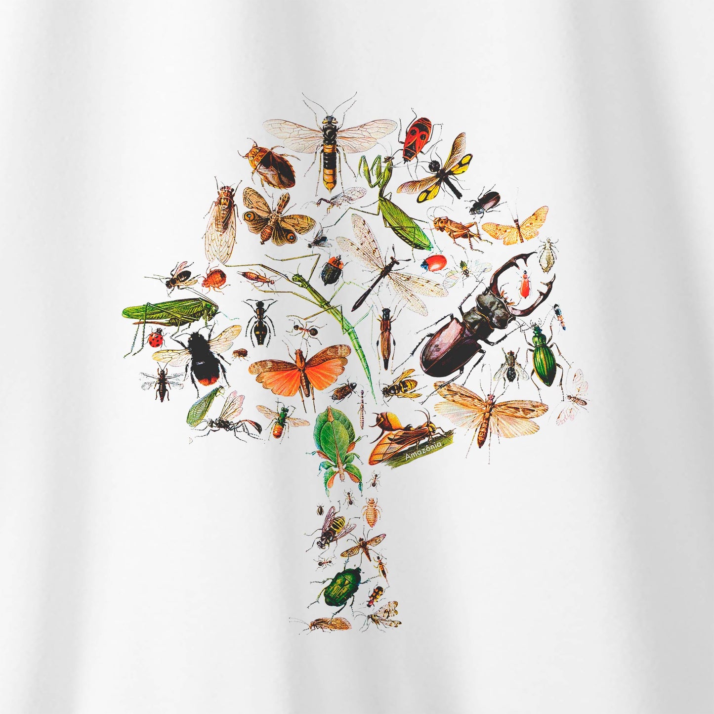 Camiseta Amazônia ENTOMOLOGIA - BRANCO - cód 0538