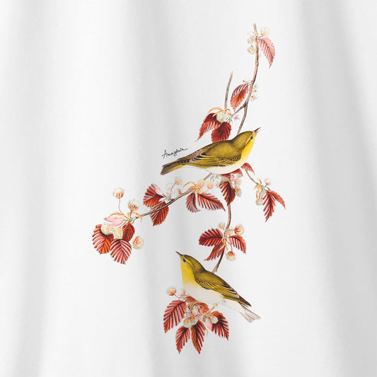 Camiseta Amazônia NATUREZA LIVRE - BRANCO - cód 0441