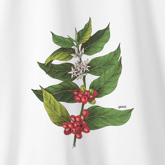 Camiseta Algoodão Branco - cód 0854