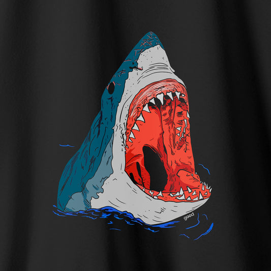 Camiseta Algoodão Preto - cód 10102